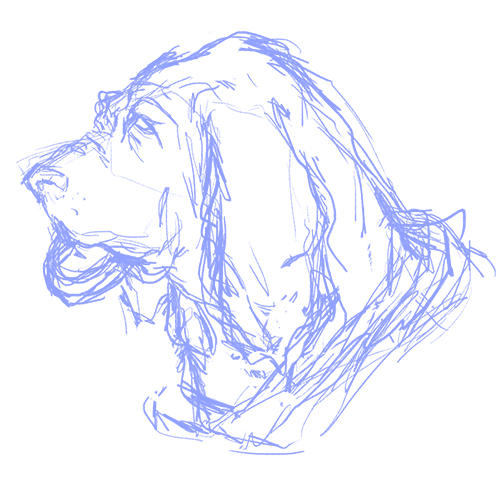 A gif showing the progression of the Bloodhounds logo from initial sketch to final result.